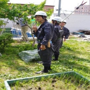 造園土木実習（樹木剪定）