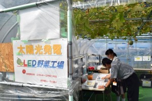 富岡第一、第二中学校、楢葉中学校合同学校見学♪